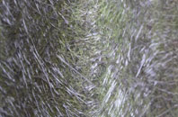 Rothes fibreglass roof work