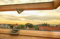 rated Rothes roof window companies